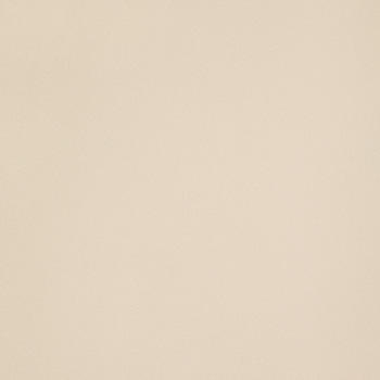 ICON CREAM 120.jpg